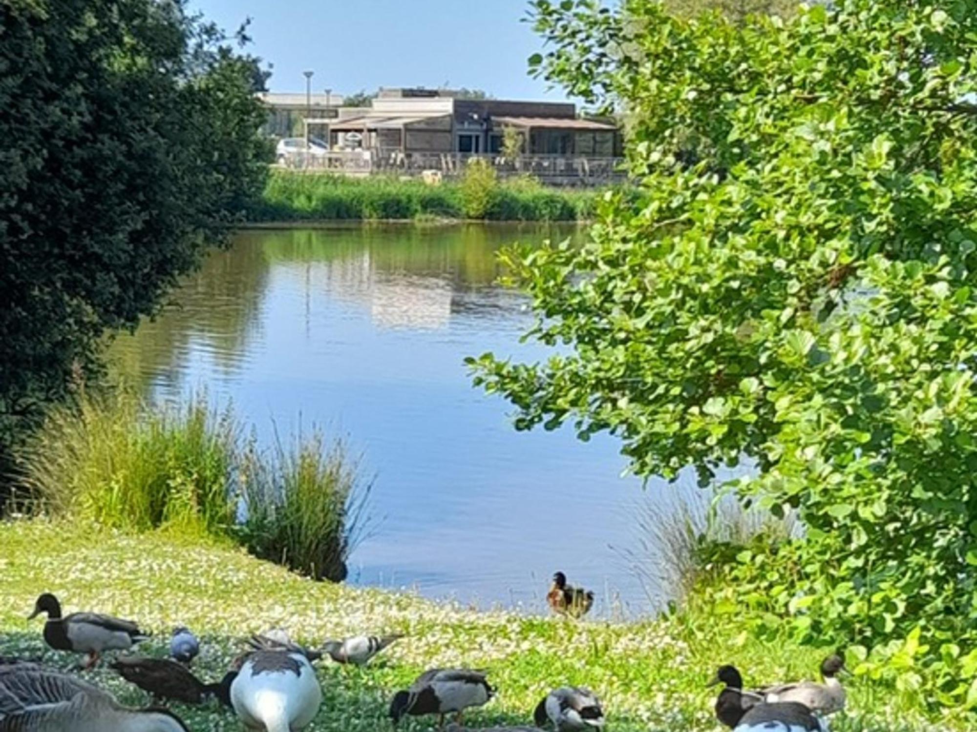 Appartement Refait A Neuf Avec Loggia Et Parking, A 2 Pas De La Plage Et Des Commerces - Fr-1-712-7 Villers-sur-Mer Zewnętrze zdjęcie